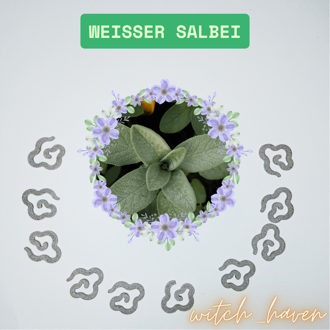 Witchhaven, Dominika Marx, Räucherset mit Elefantenbrenner, Somalia Weihrauch, reine Myrrhe, Lavendel und Salbei Räucherstäbchen, Mandala Untersetzer, energetisch gereinigtes Räucherwerk, spirituelles Ritualset