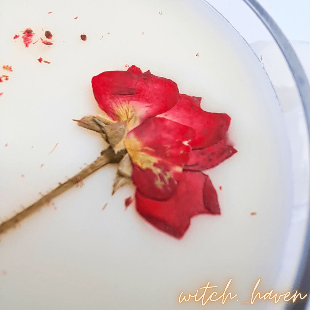 Witchhaven, Dominika Marx, 2er Set Ritualkerzen, Lavendelkerze mit Blüten, Rosenkerze handgefertigt, Sojawachs Kerzenset, spirituelle Entspannung, Herzöffnung Ritual, energetisch gereinigte Kerzen