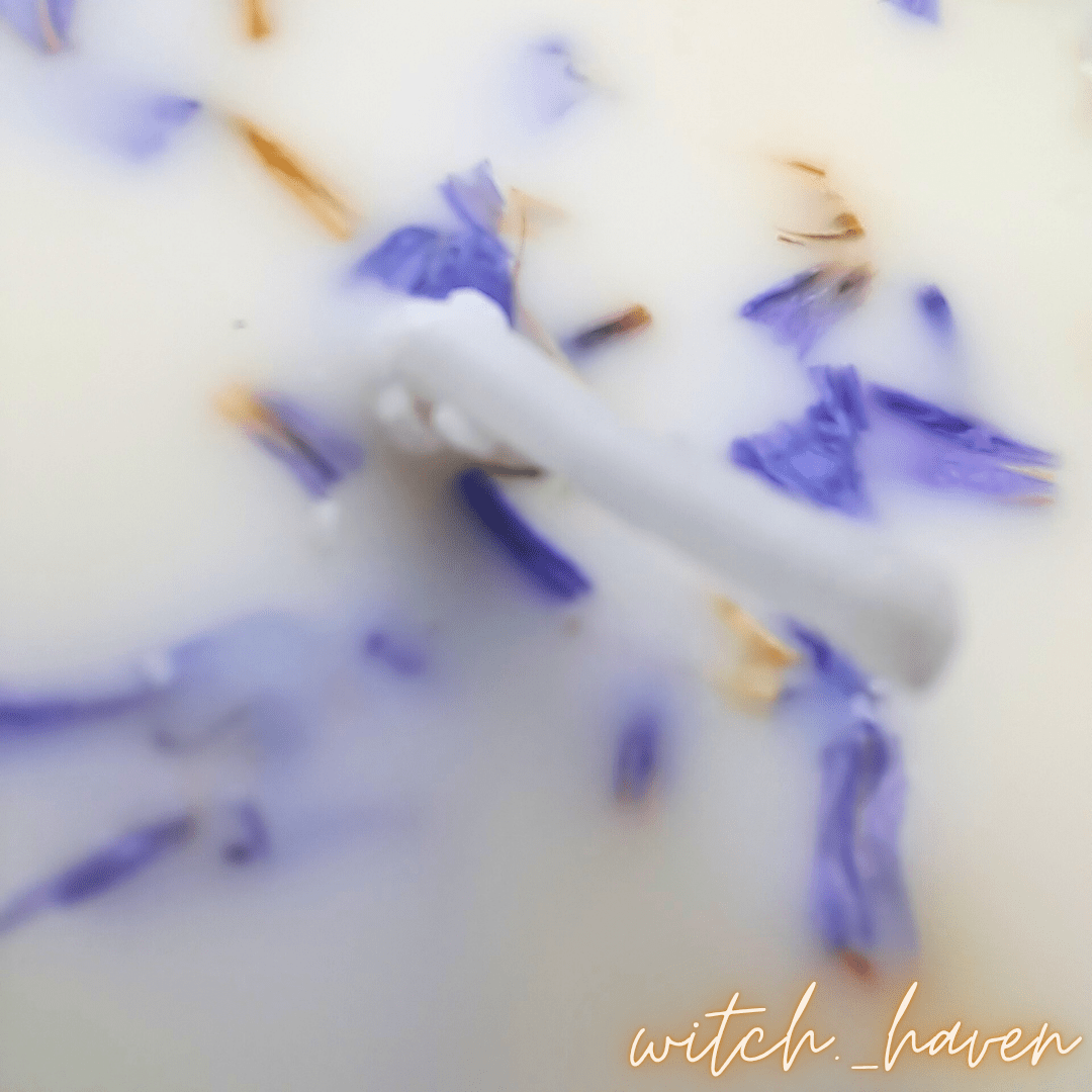 Witchhaven, Dominika Marx, 2er Set Ritualkerzen, Lavendelkerze mit Blüten, Rosenkerze handgefertigt, Sojawachs Kerzenset, spirituelle Entspannung, Herzöffnung Ritual, energetisch gereinigte Kerzen